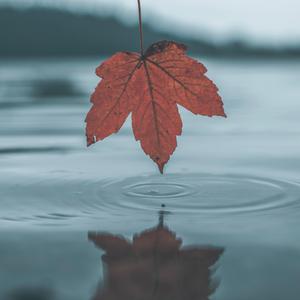 新婚之夜XXX新婚XXX网站
