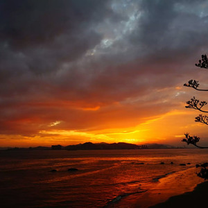 新婚之夜XXX新婚XXX网站
