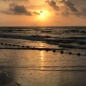 新婚之夜XXX新婚XXX网站
